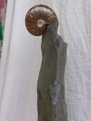 Unikat Ammonit auf Basaltsäule mit angedeutetem Gesicht 52 cm € 230,00